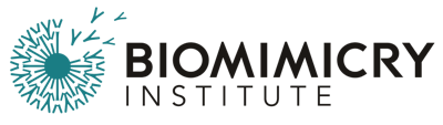 Biomimicry Institute