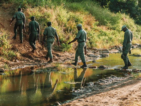 Supporting Solar-powered Conservation of the Zambezi Valley in Zimbabwe