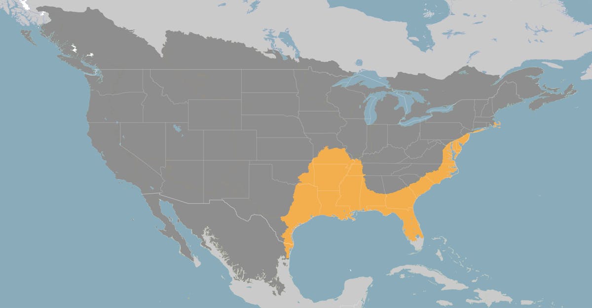 Southeast US Savannas & Forests