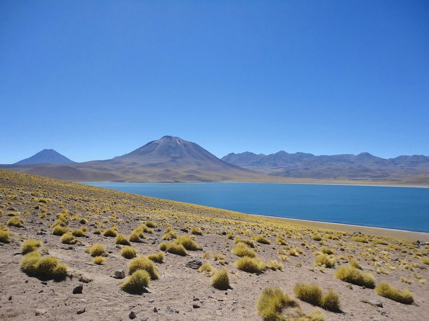 Andean Mountain Grasslands (NT5)