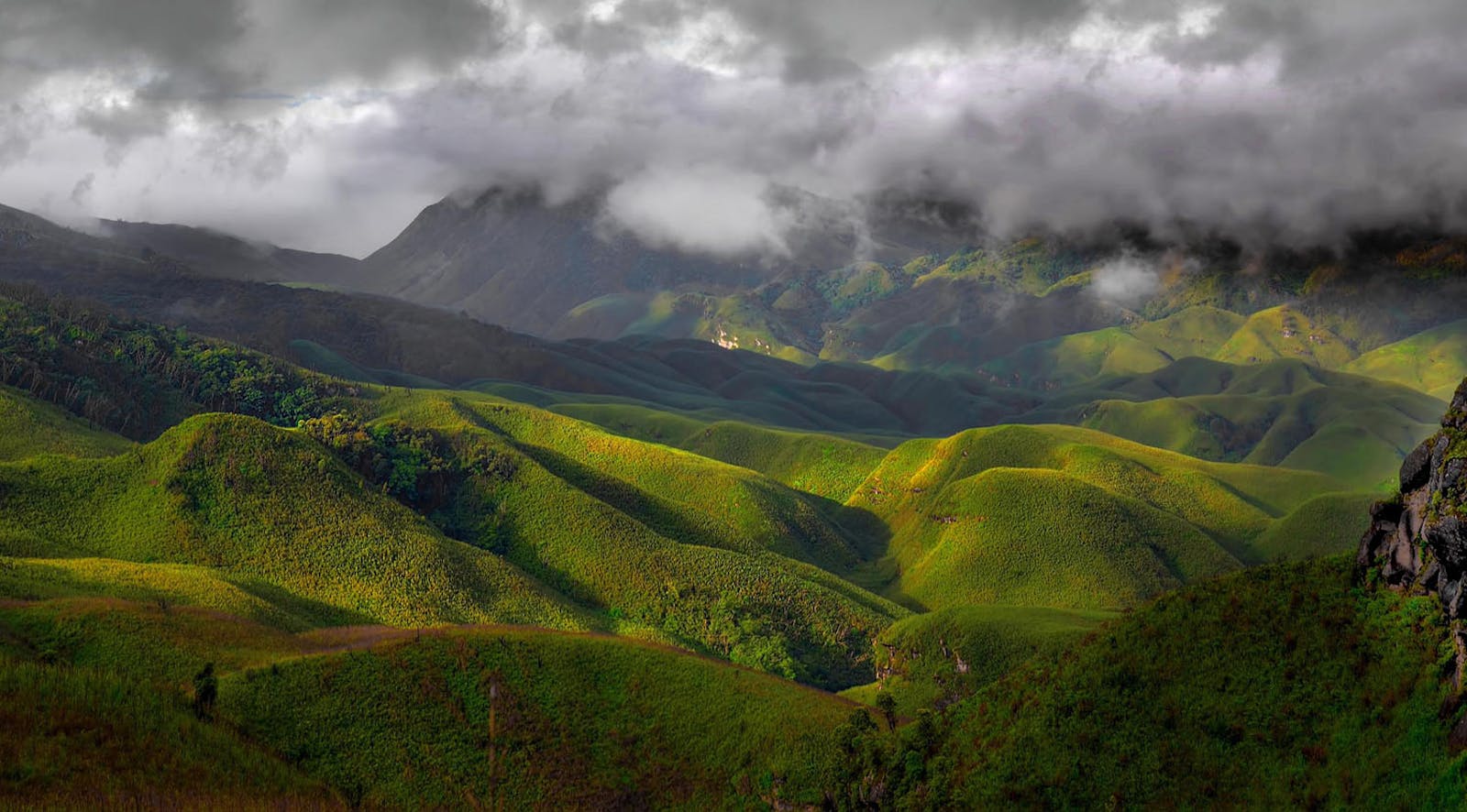 Mizoram-Manipur-Kachin Rainforests