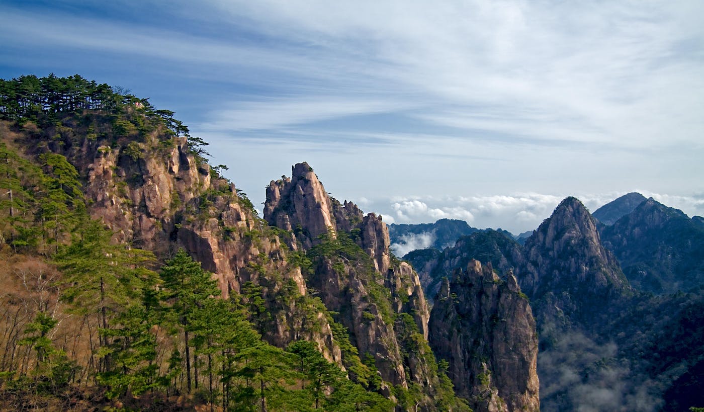 Chang Jiang Plain Evergreen Forests (PA50)