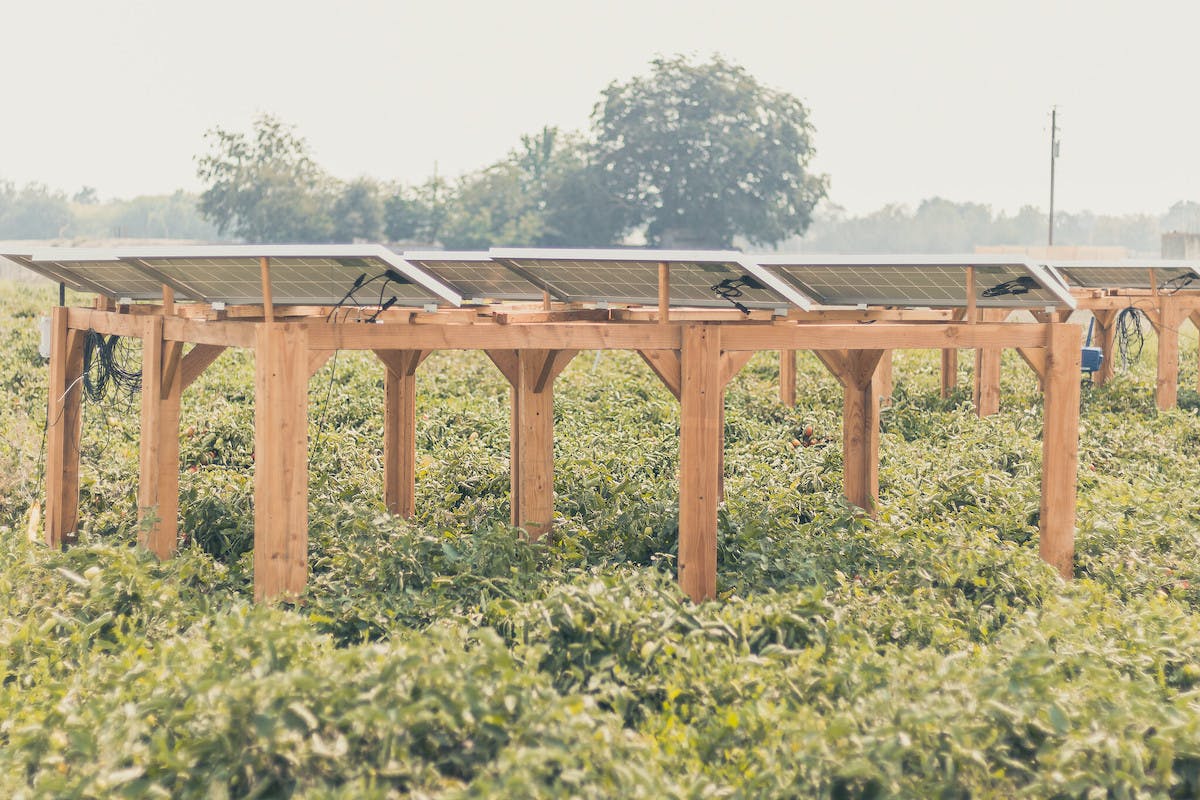 A town in India is using solar panels to protect crops