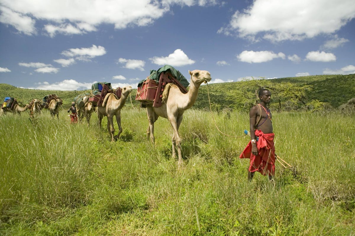 Grasslands