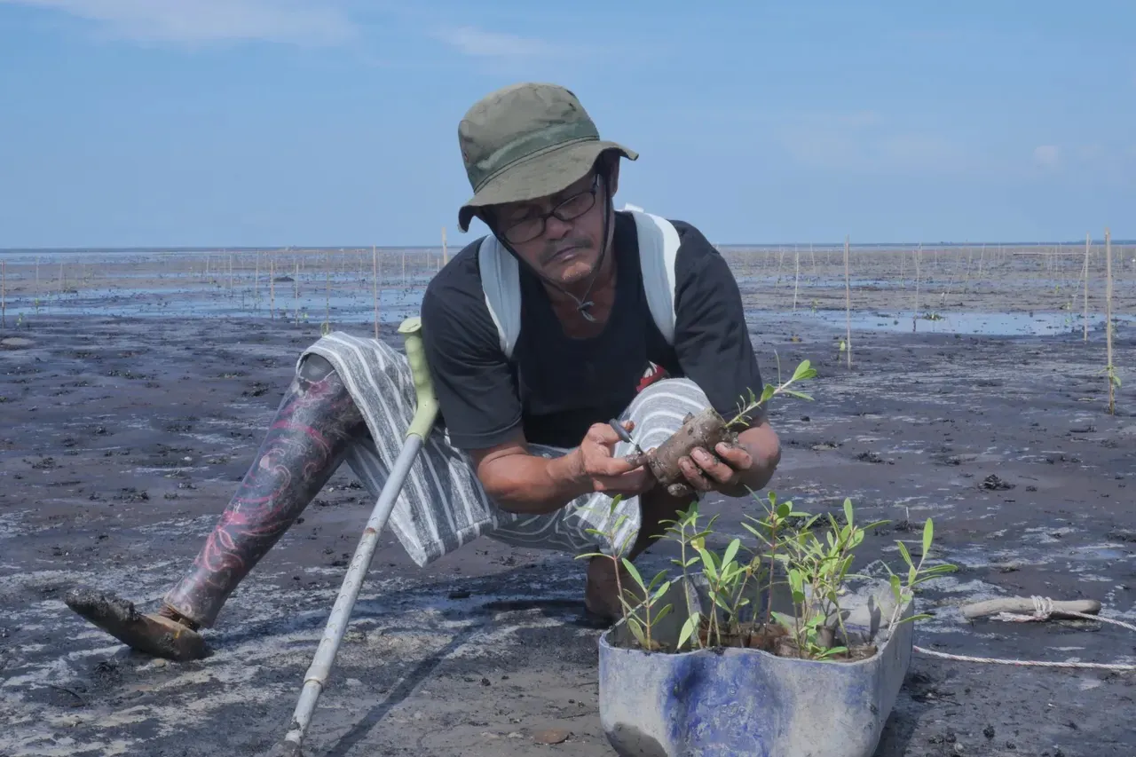 Mangrove and peatland recovery in Riau Province. Image Credit: Ma Earth.