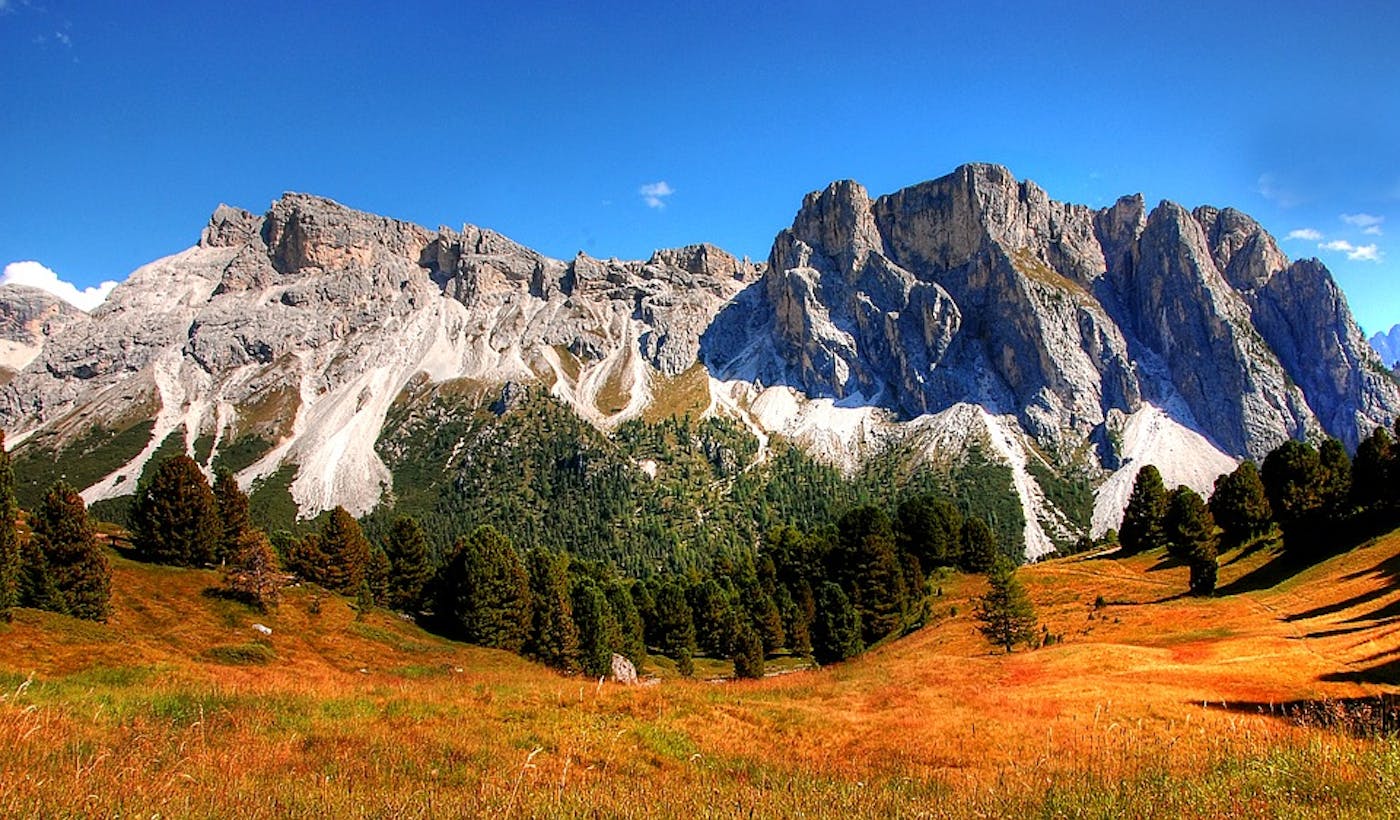 Alps & Po Basin Mixed Forests (PA13)