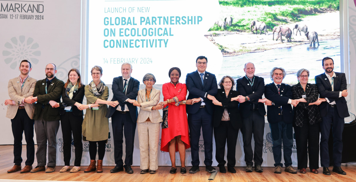 Global Partnership on Ecological Connectivity (GPEC)