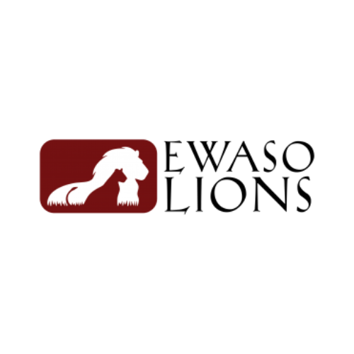 Ewaso Lions