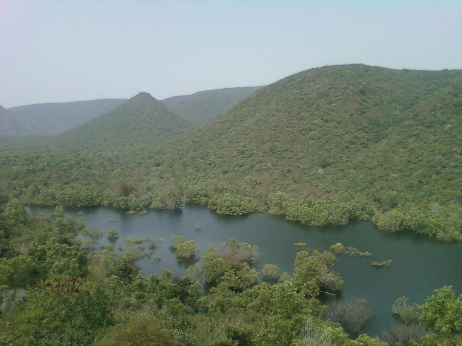 East Deccan Moist Deciduous Forests
