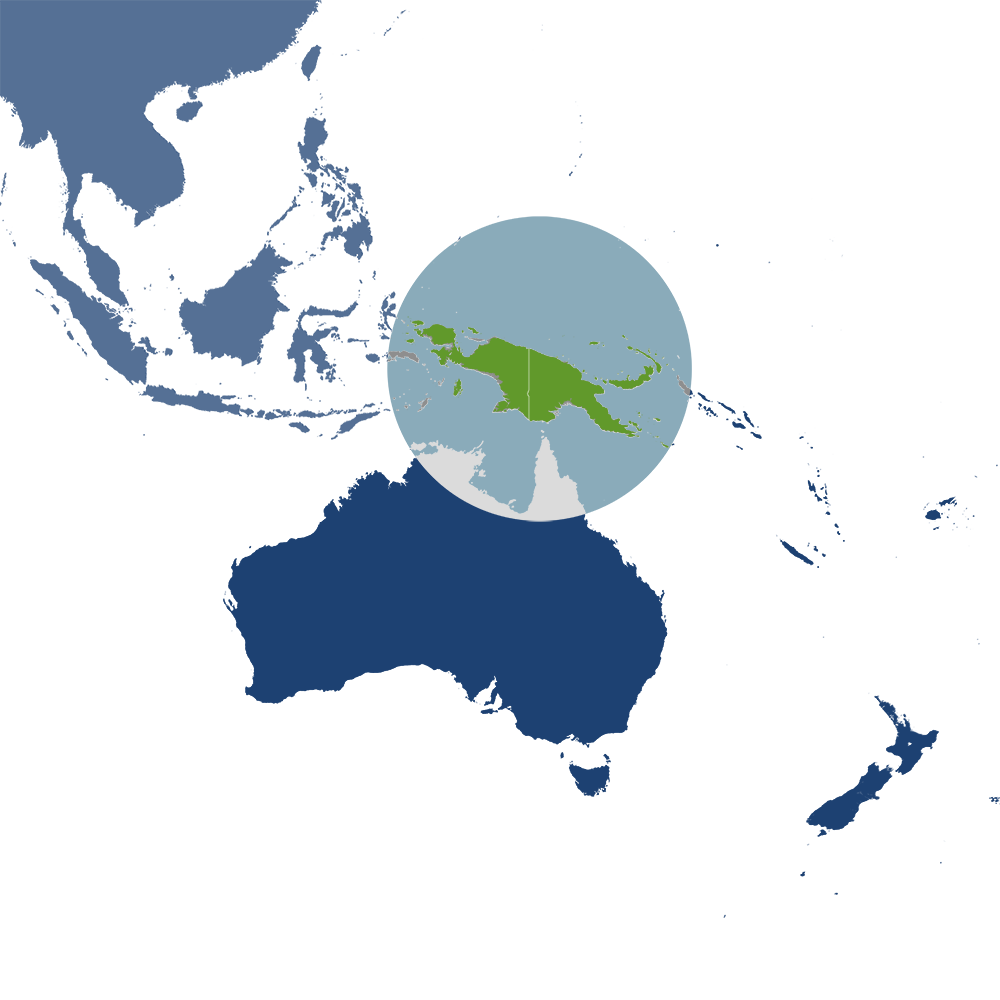 The Biak emerald monitor lizard is the iconic species of the New Guinea & Surrounding Islands bioregion (AU13), located in the Australasian Islands & Eastern Indonesia subrealm of Australasia. The Biak emerald monitor lizard is the iconic species of the New Guinea & Surrounding Islands bioregion (AU13), located in the Australasian Islands & Eastern Indonesia subrealm of Australasia.
