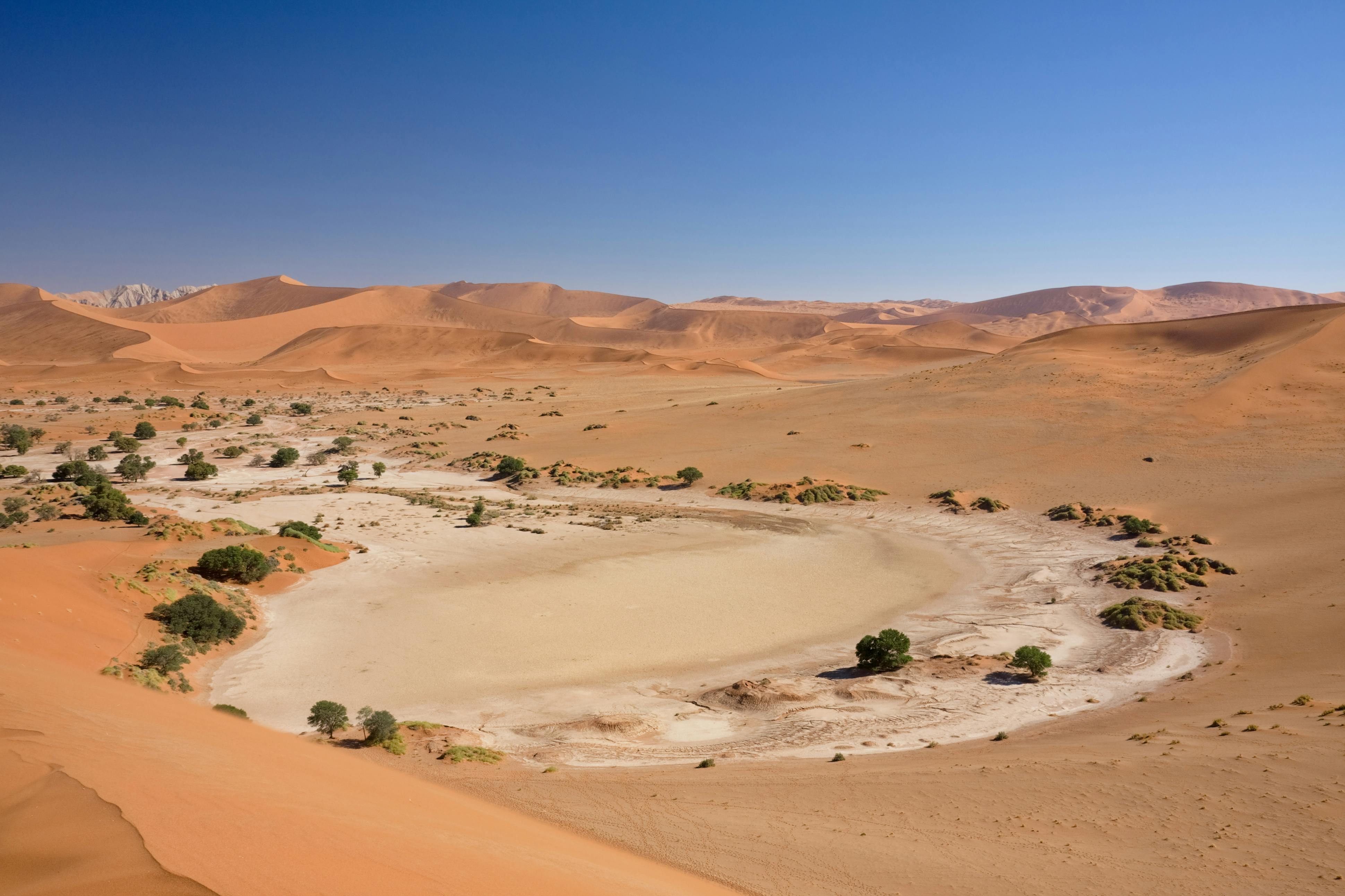 Namib Desert | One Earth