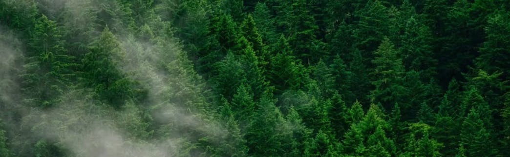 Land Conservation