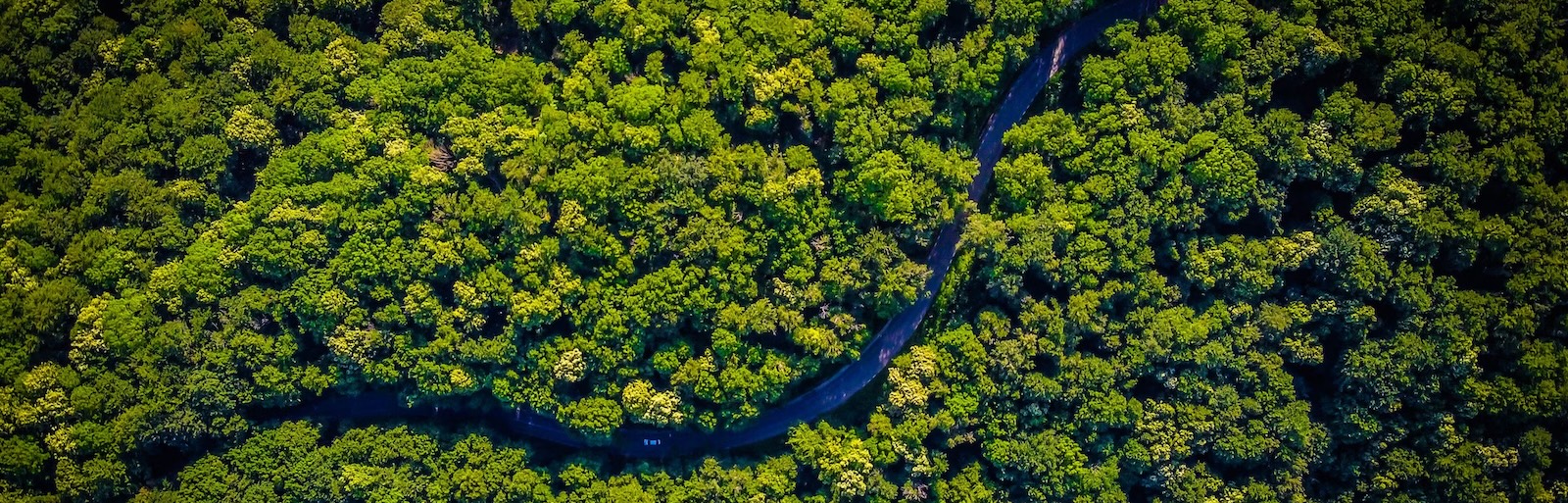 Aerial view of Amazon River. Image credit: Vlad Hilitanu via Unsplash