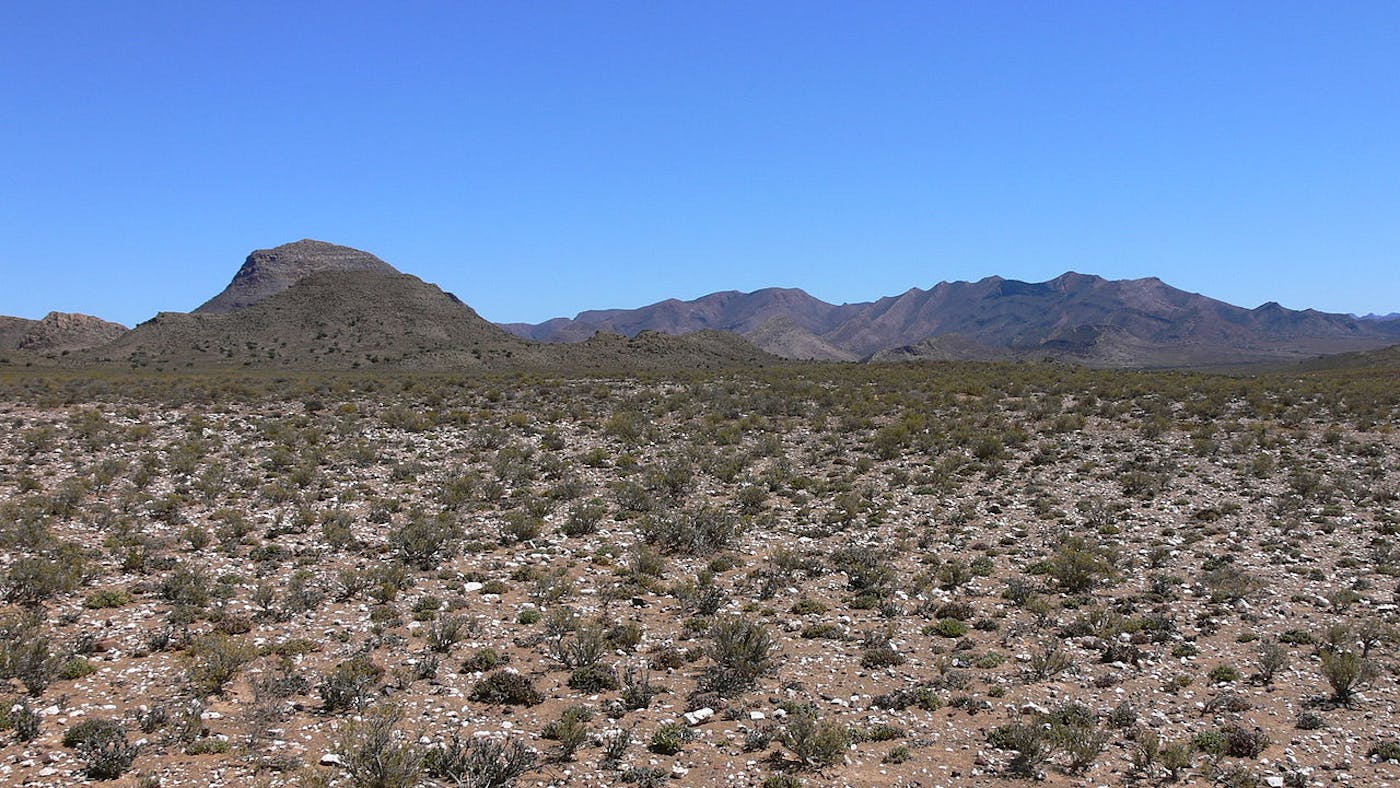 South African Cape Shrublands & Mountain Forests (AT2)