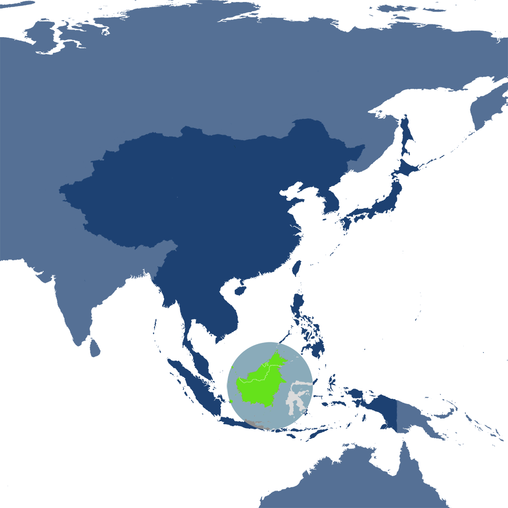 The Borneo Tropical Forests & Sundaland Heath Forests bioregion ( IM16), located in the Southeast Asian Forests subrealm of Indomalaya.