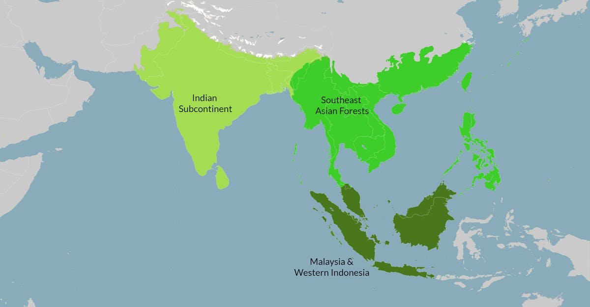 Indomalaya, Realm & Subrealms