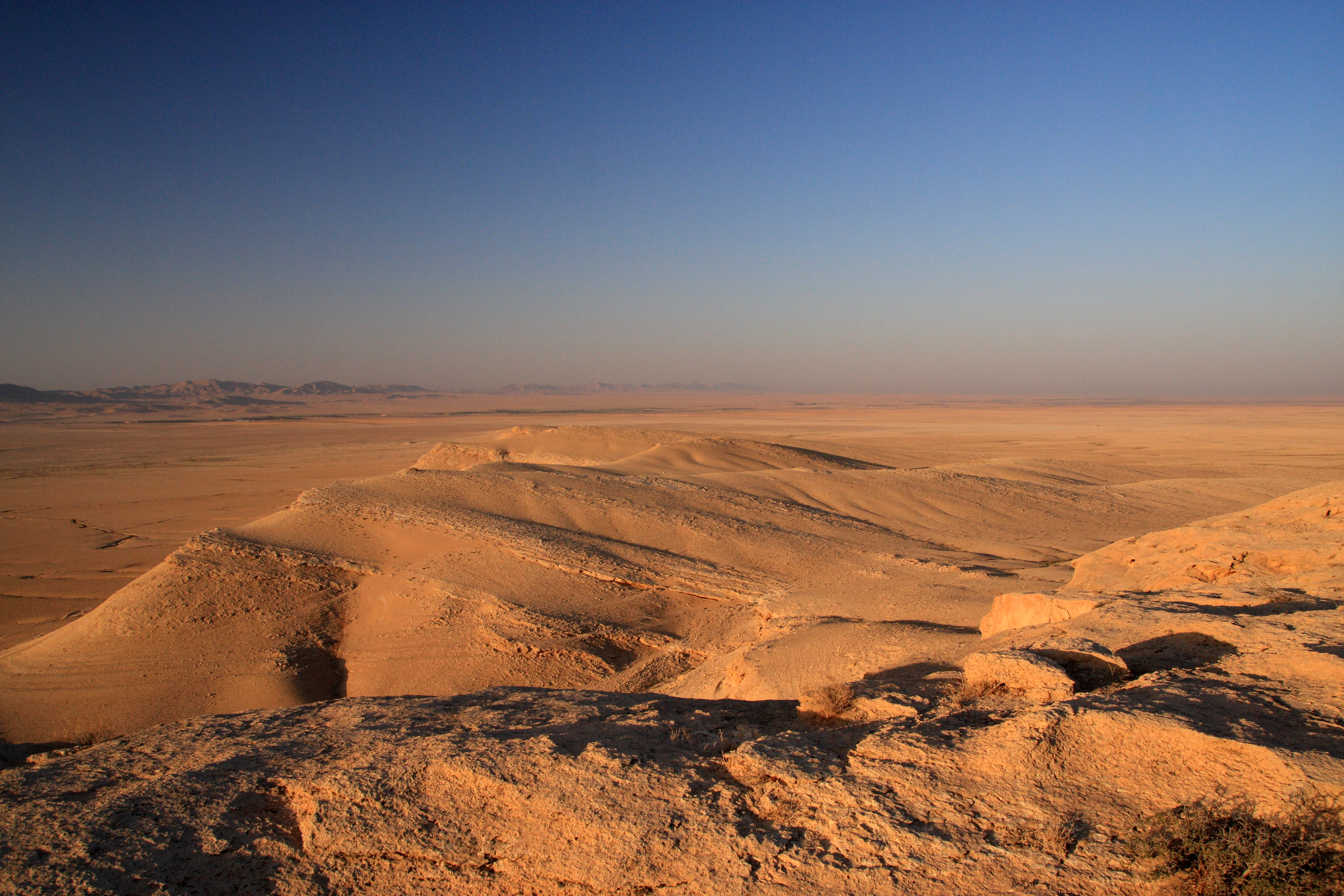 Mesopotamian Shrub Desert One Earth   830 Syrian Desert CC 2010 