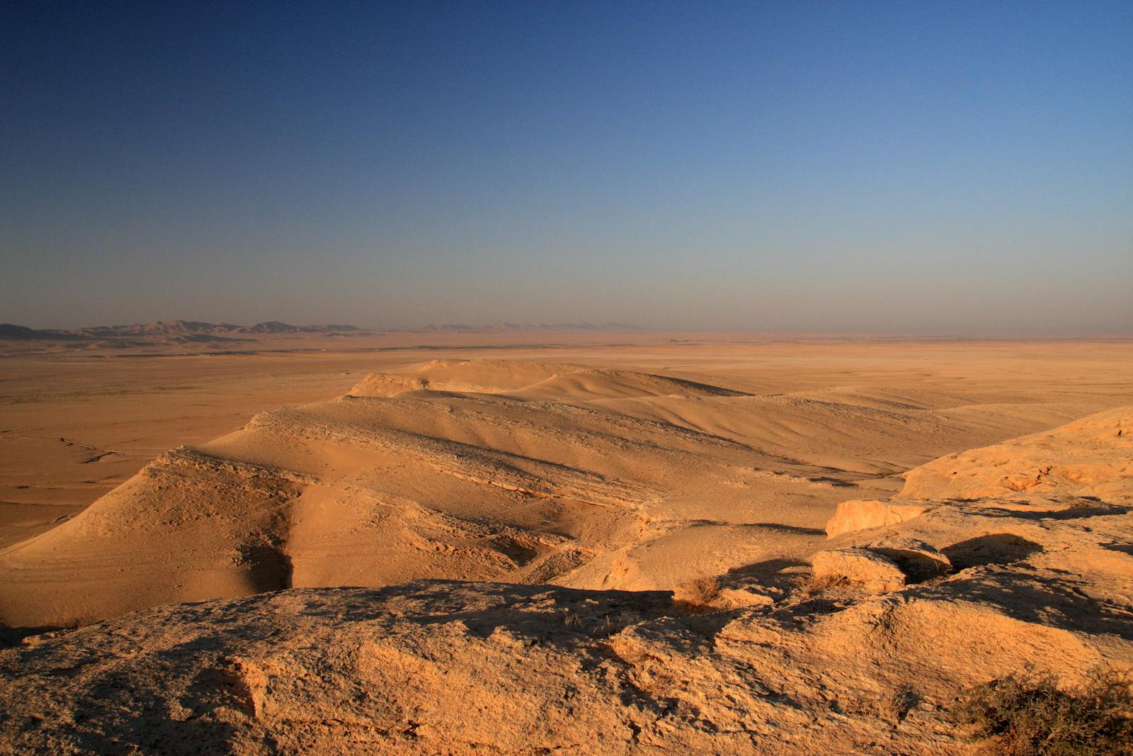 Mesopotamian Shrub Desert