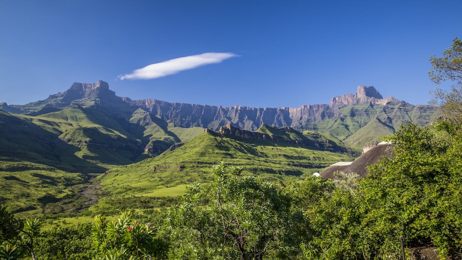 Drakensberg Escarpment Savanna and Thicket