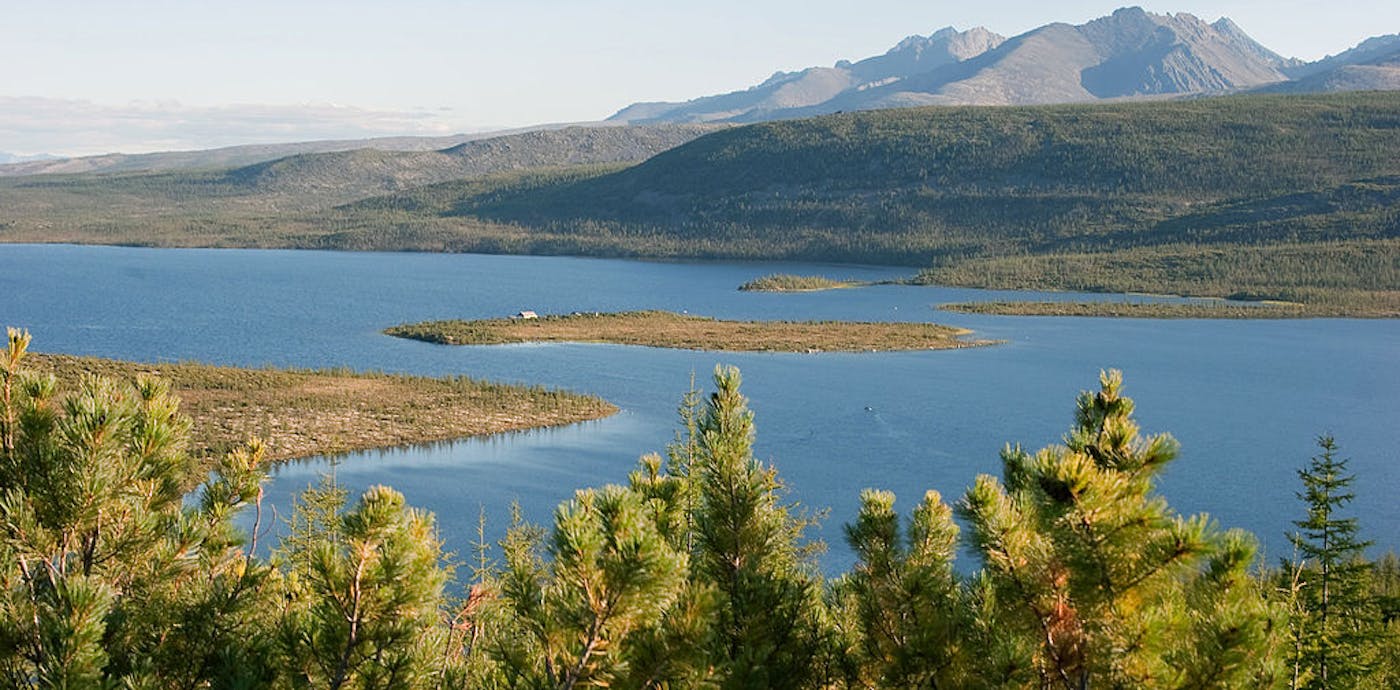 Siberian Boreal Forests & Mountain Tundra (PA7)