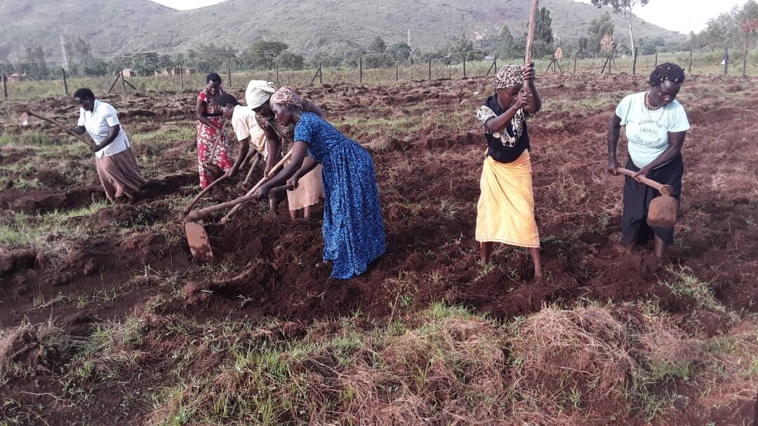 Women working at the women-led Climate Knowledge Center. Image credit: Courtesy of WCCI.org