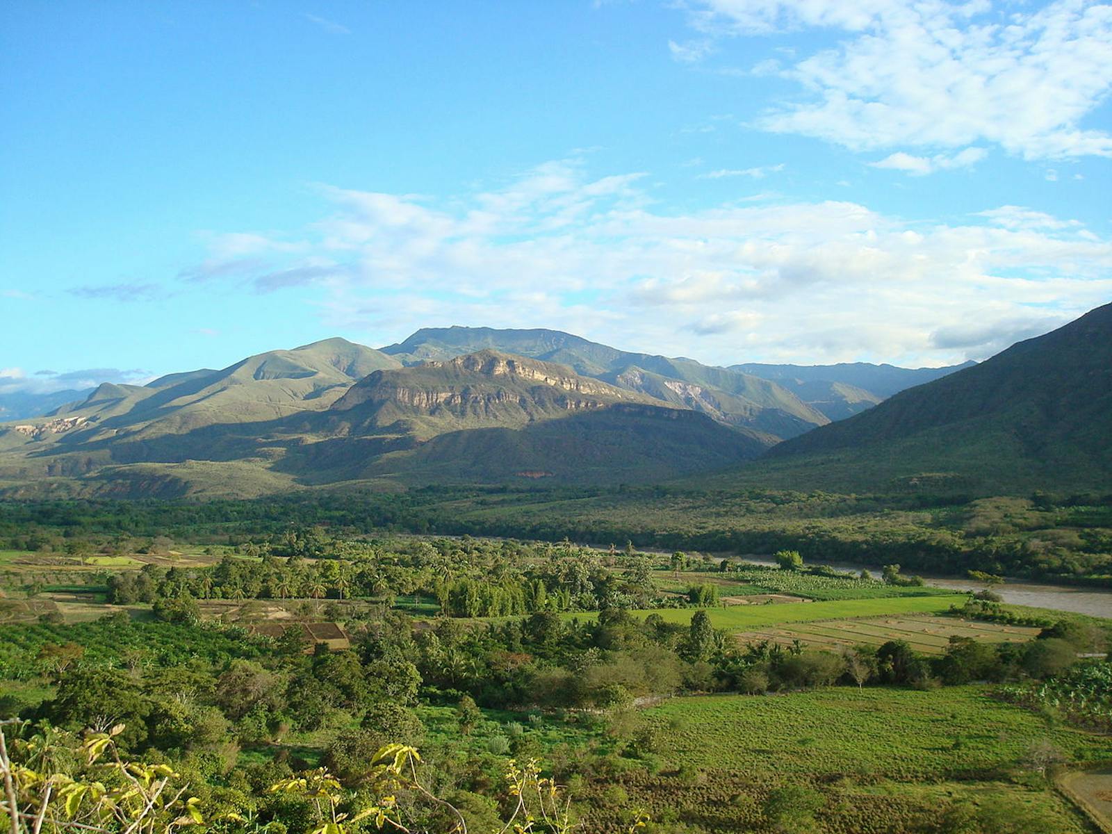 Marañon Dry Forests