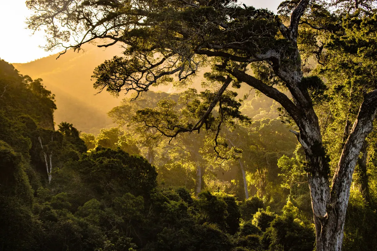 The Global Deal For Nature | One Earth