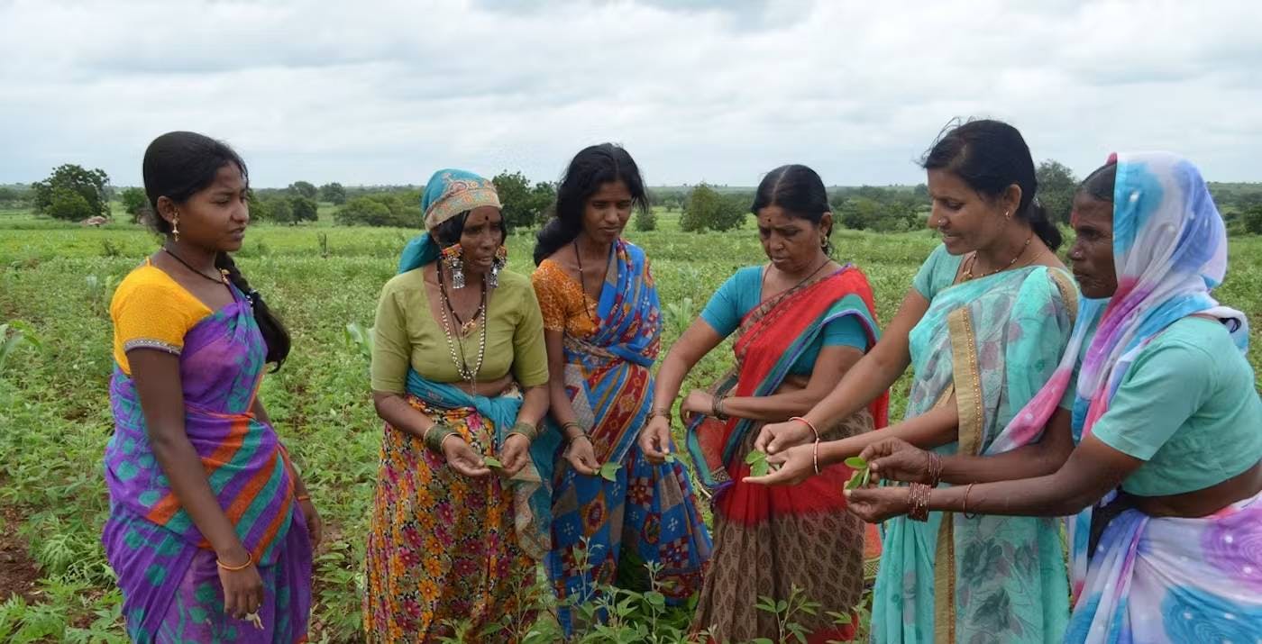 Regenerating Land in India through Women-led Climate Resilient Farming
