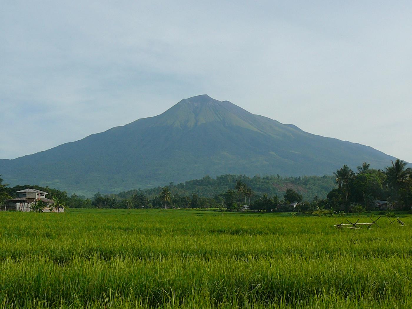 Philippines & Sulu Sea Tropical Forests (IM15)