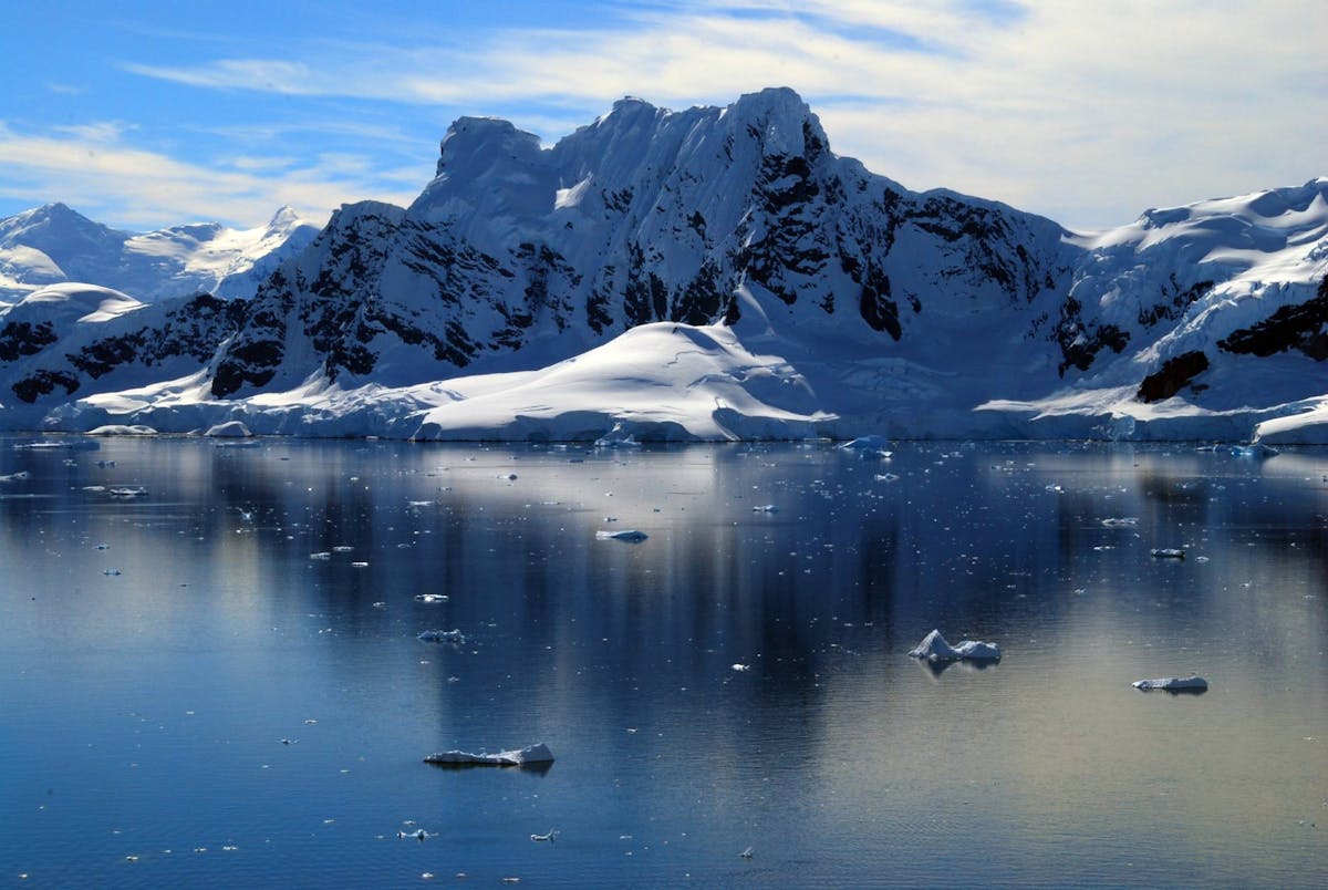 Antarctica Realm