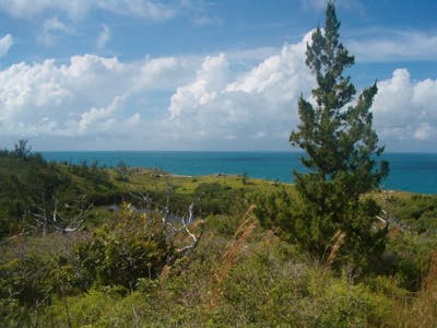 Bermuda (NA26)