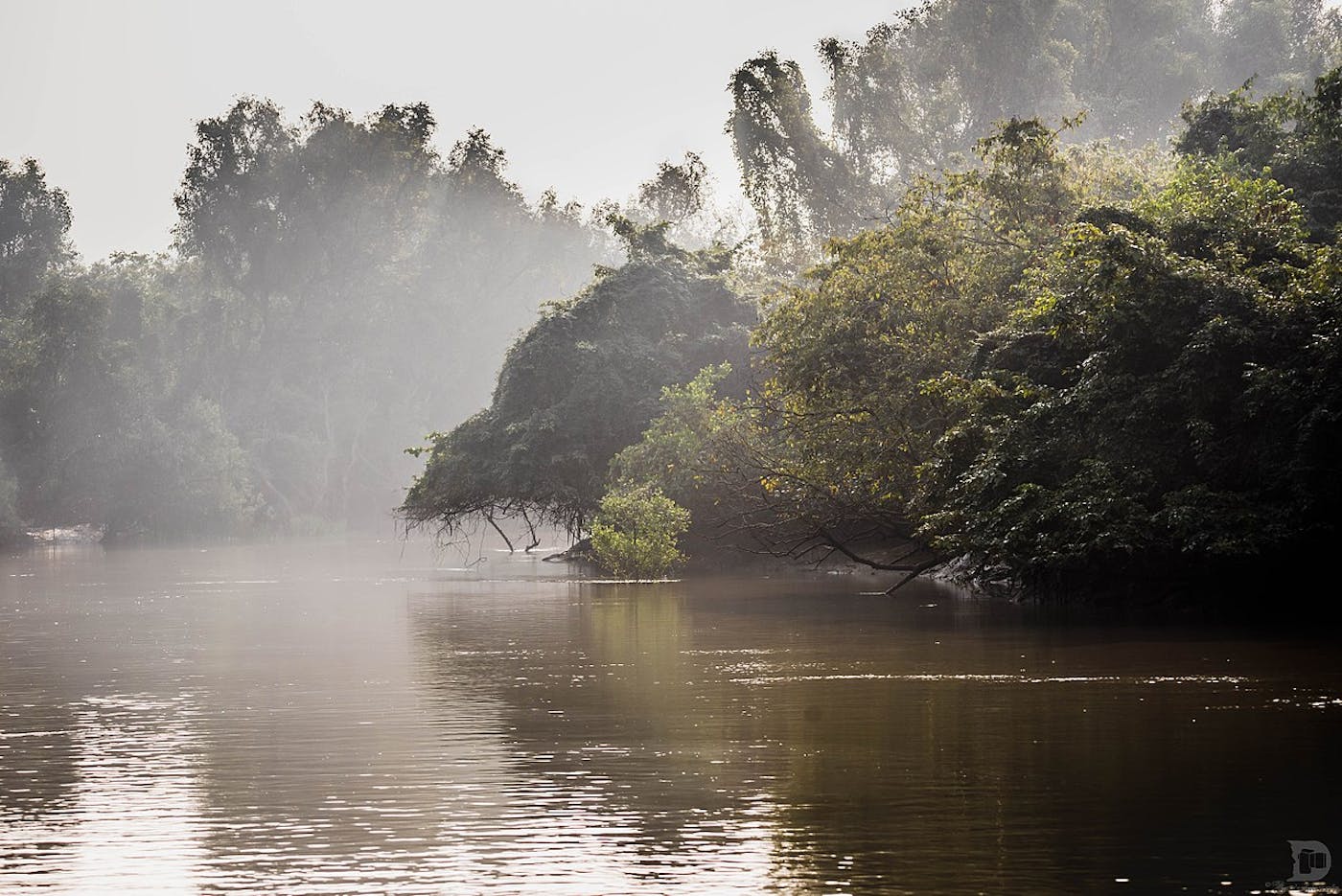 Northern Deccan & Odisha Tropical Forests (IM7)