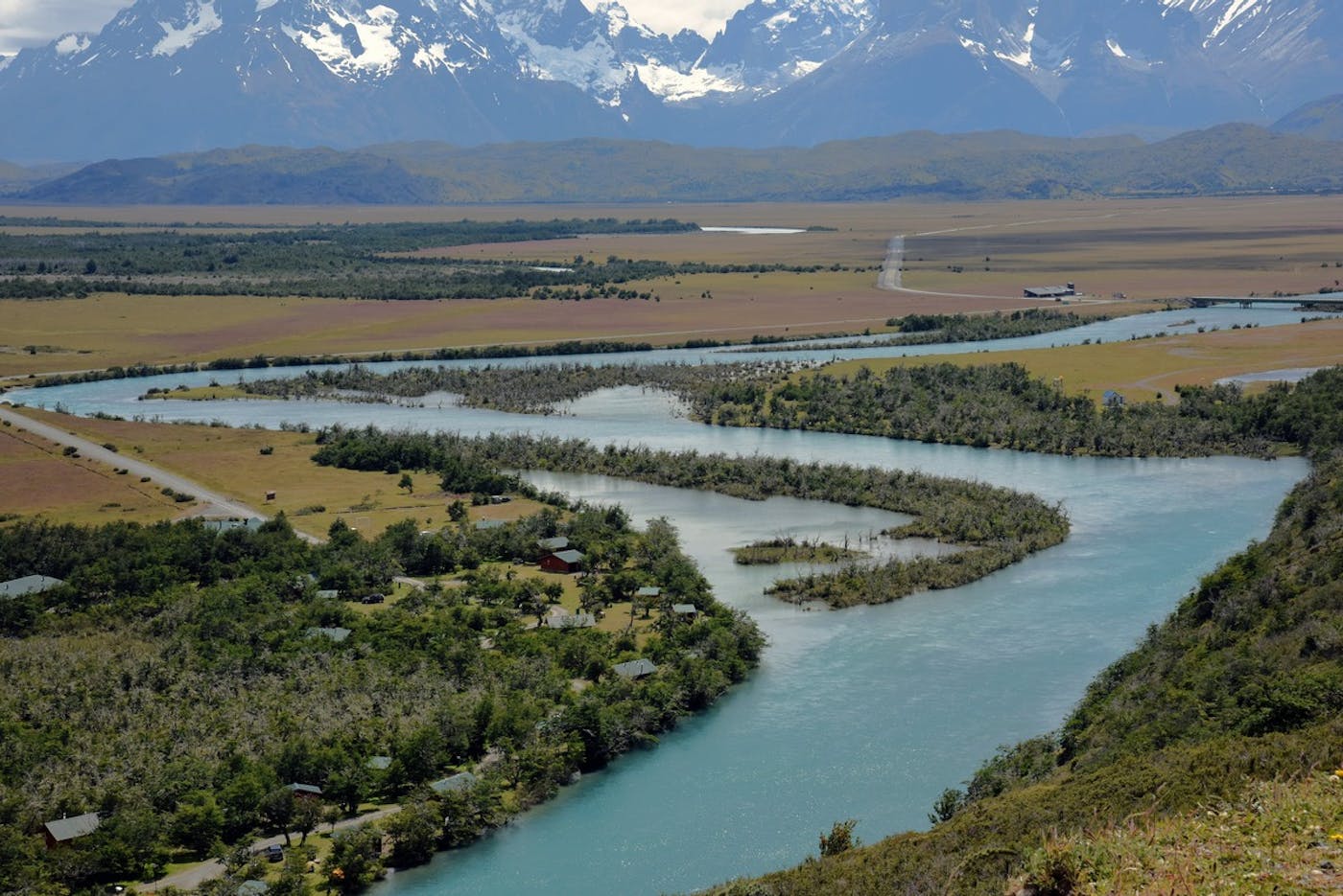 Chilean Mixed Forests (NT1)