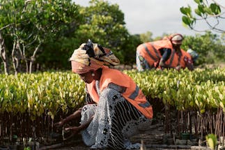 Munje Tunusuru Women's Group. Image Credit: Image Credit: CORDIOEA.