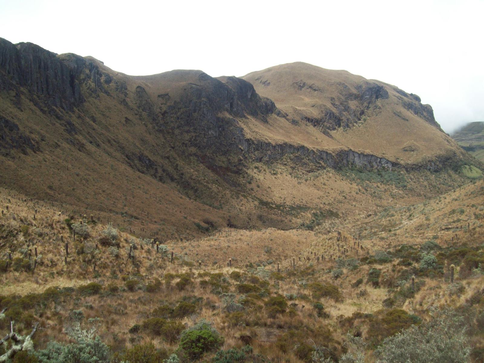 Northern Andean Páramo
