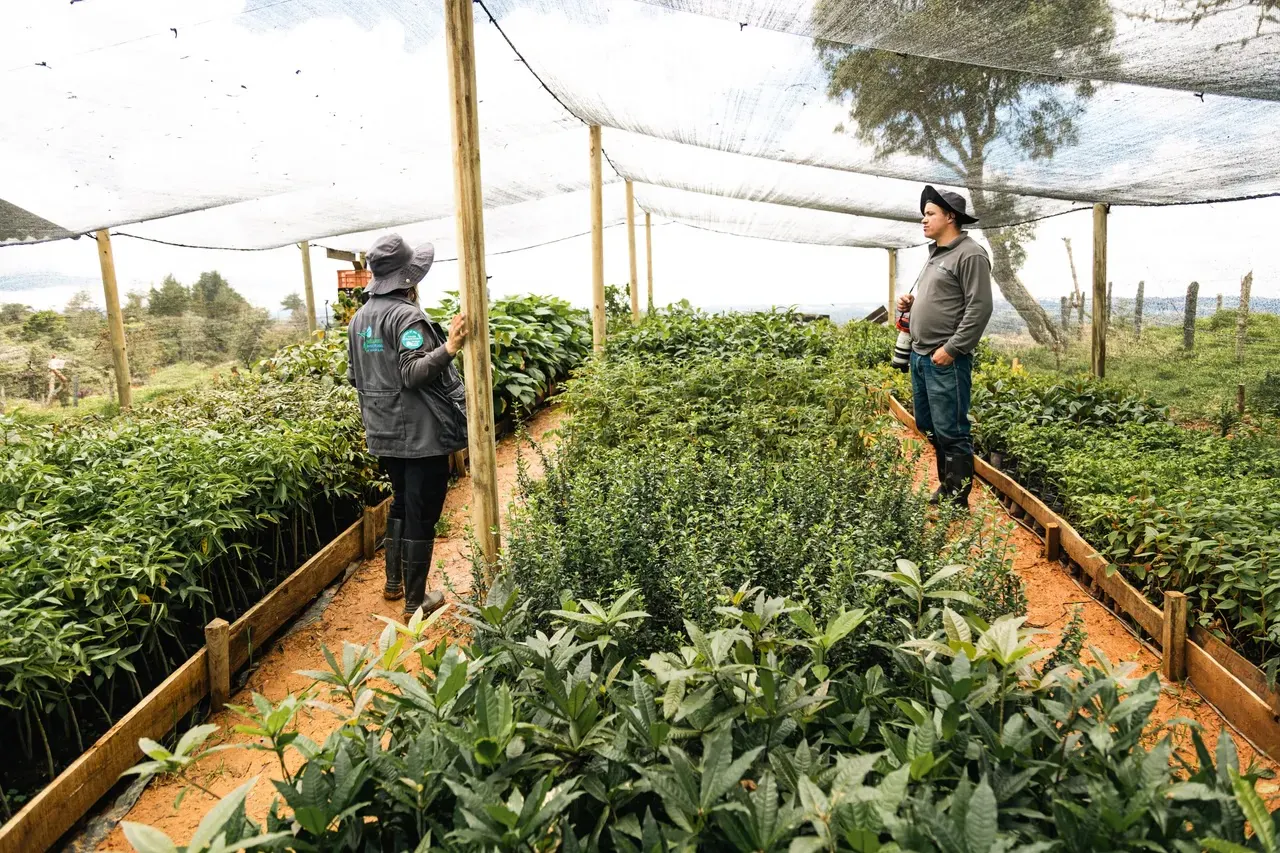 Propagation of native species for High-Andean forests. Image Credit: Ma Earth.