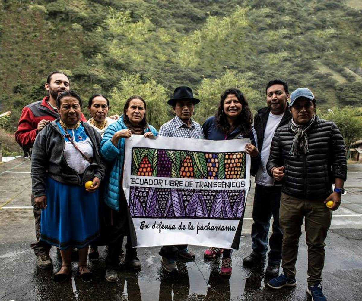Promoting Heirloom Seeds and Traditional Andean Foods through the Agroecological Collective of Ecuador