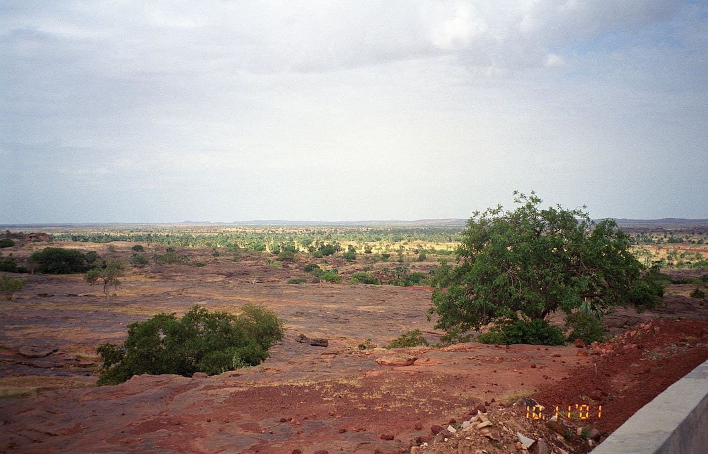 Sahel Acacia Savannas (AT23)