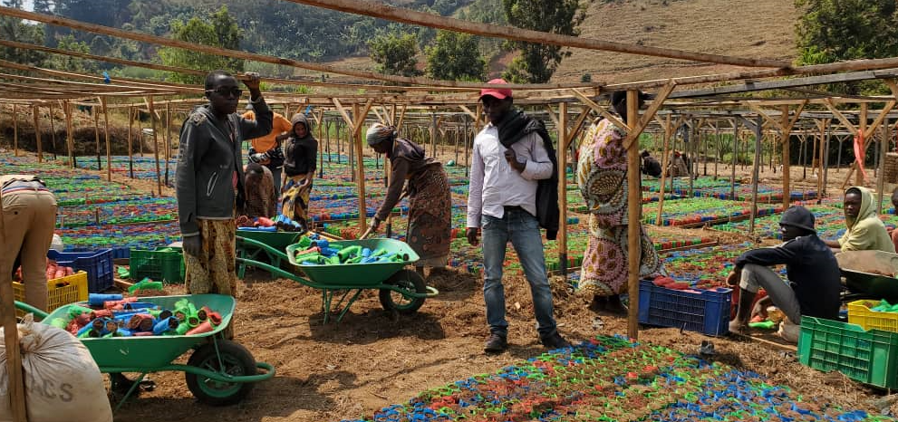 2. Burundi Tree Nursey – One of One Acre Fund’s 40 farmer-led tree nurseries in rural Burundi