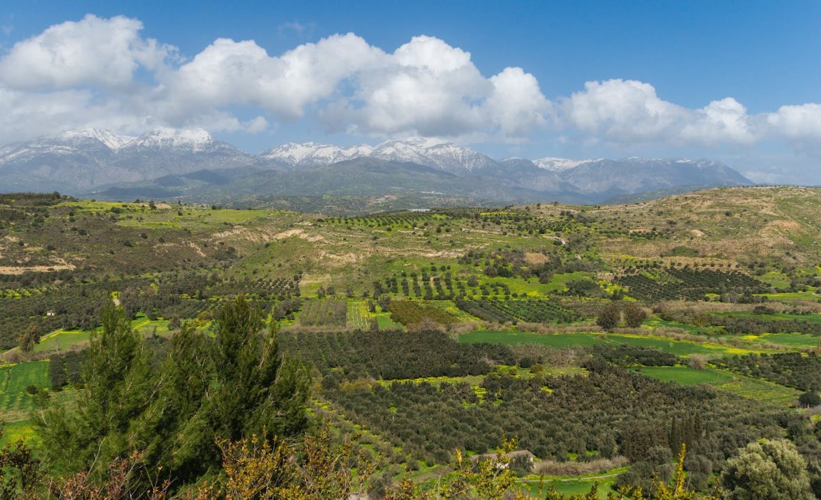 Crete Mediterranean Forests