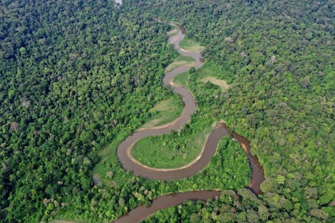 Conkouati-Douli National Park in the Republic of Congo. Image credit: Flicker, CC by 2.0, © Laboureur/Noé