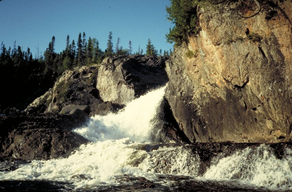 Central Canadian Shield Forests | One Earth