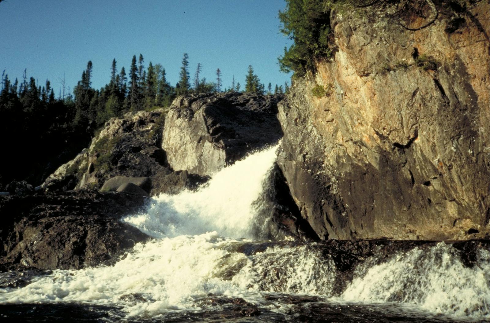 Central Canadian Shield Forests