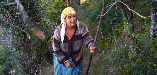 How an Indian community protects their home against illegal loggers