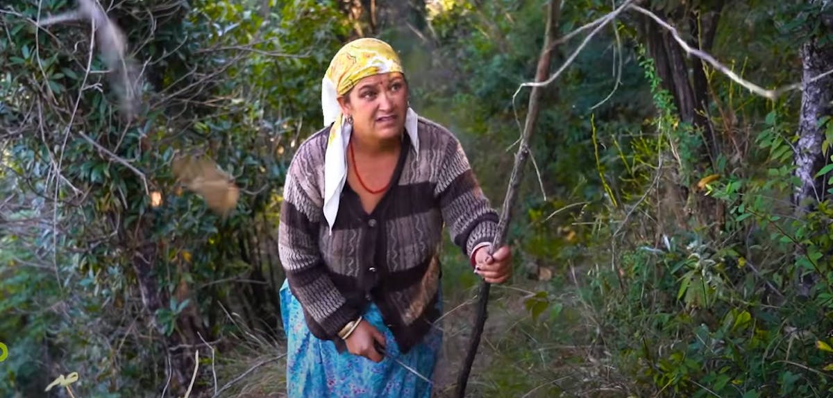 How an Indian community protects their home against illegal loggers