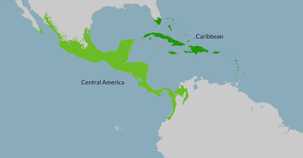 Central America, Realm & Subrealms