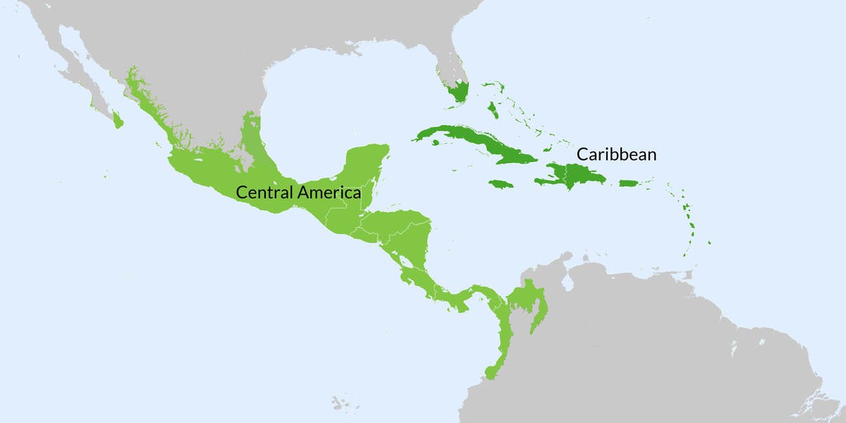 Central America