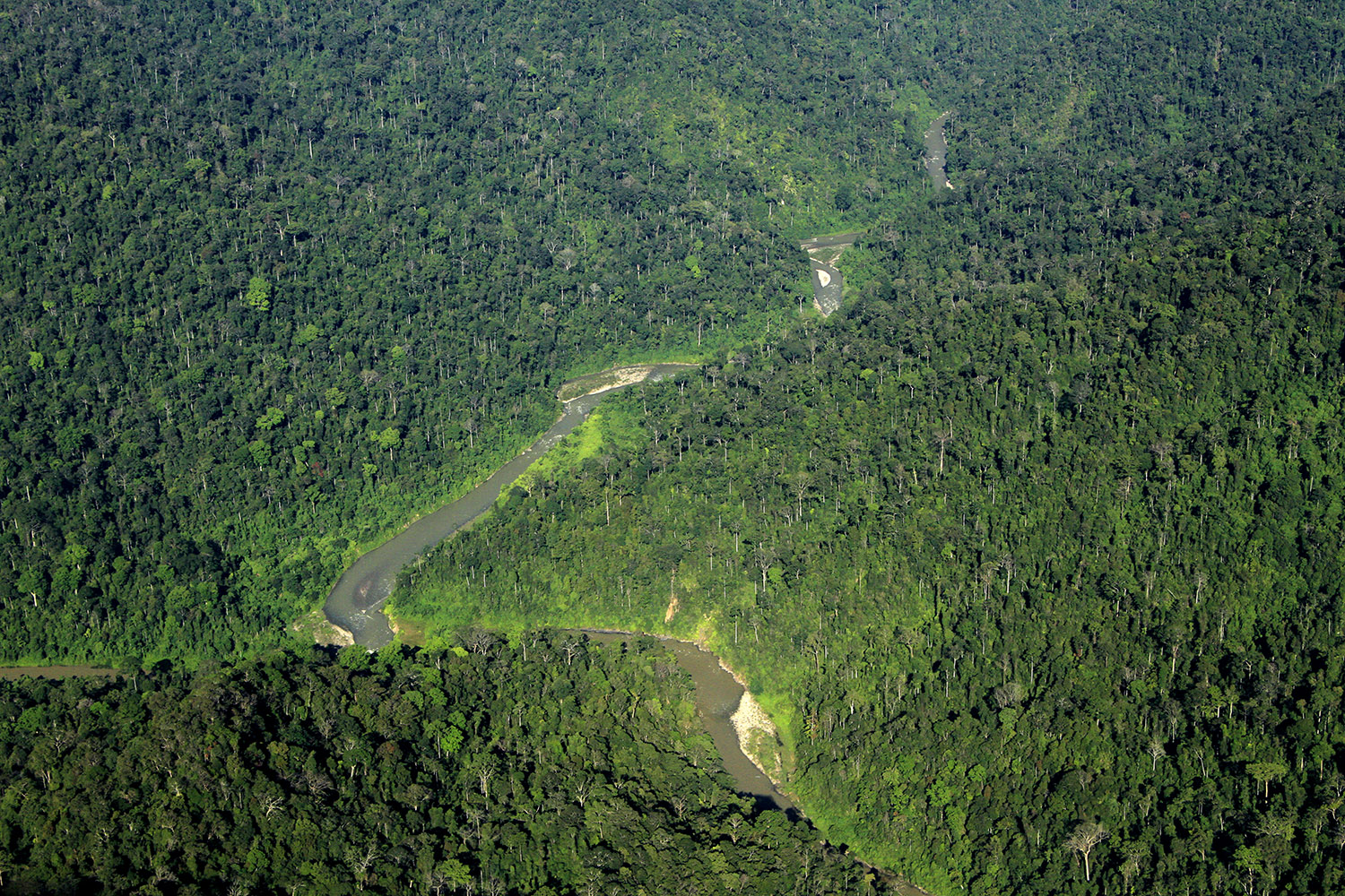 Taman Nasional Gunung Leuser. Image credit: CC by 4.0, Junaidi Hanafiah