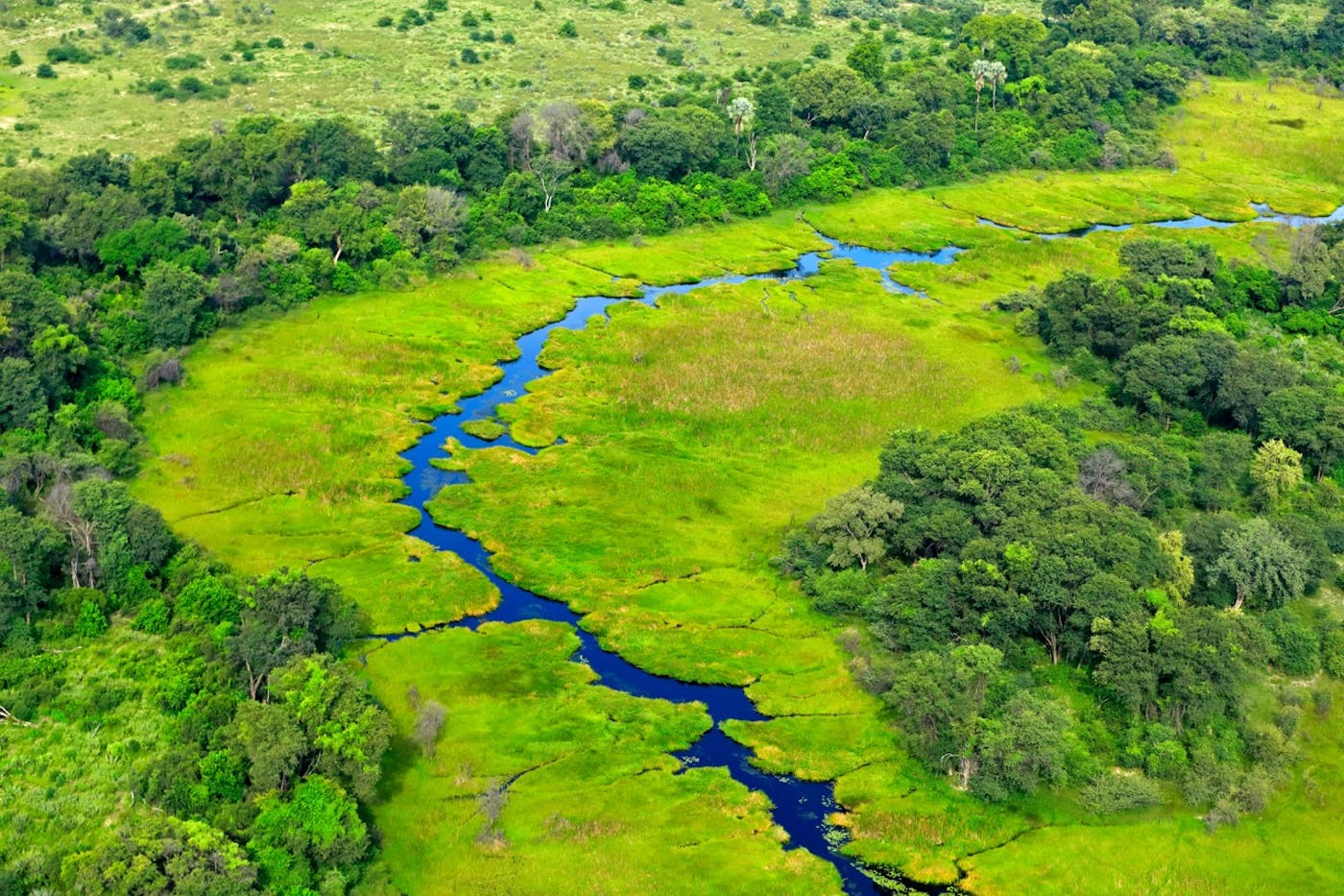 Greater African Subequatorial Savannas & Mixed Woodlands (AT11)