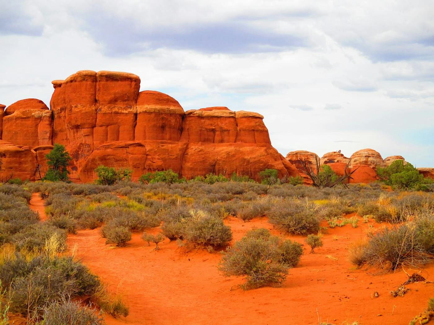 Colorado Plateau & Mountain Forests (NA19)